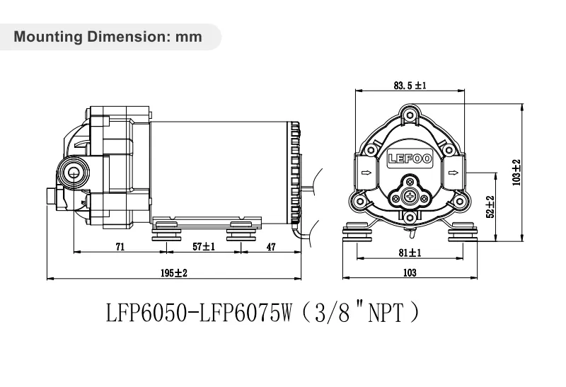 Dimensão