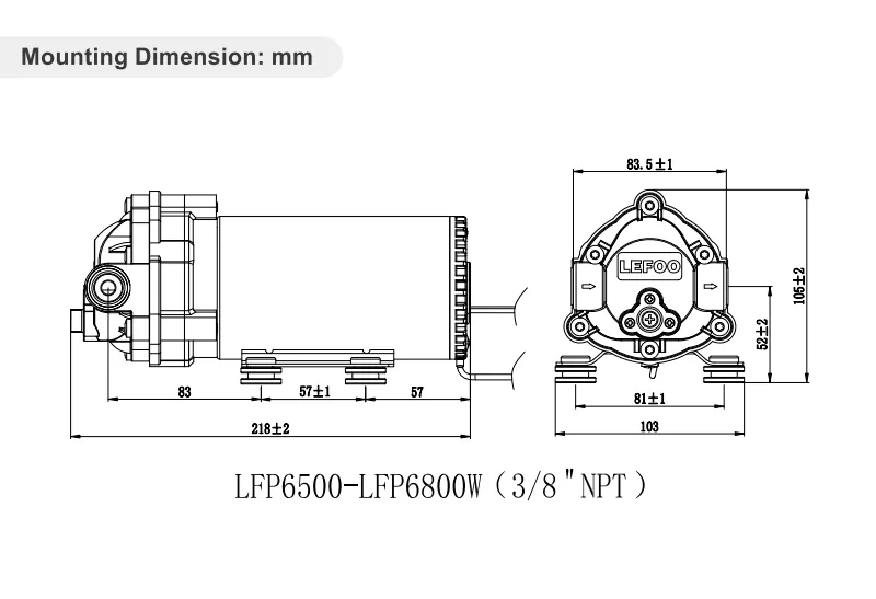 Dimensão
