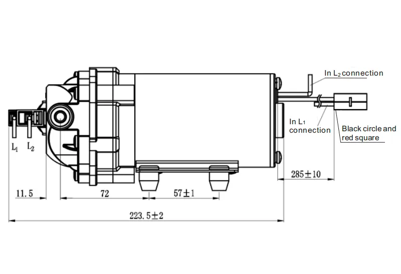 Dimensão