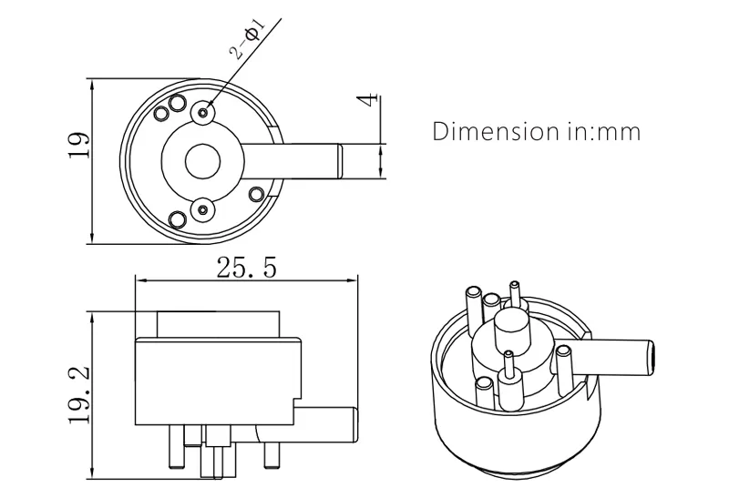Dimensão