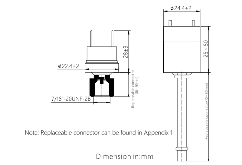 Dimensão