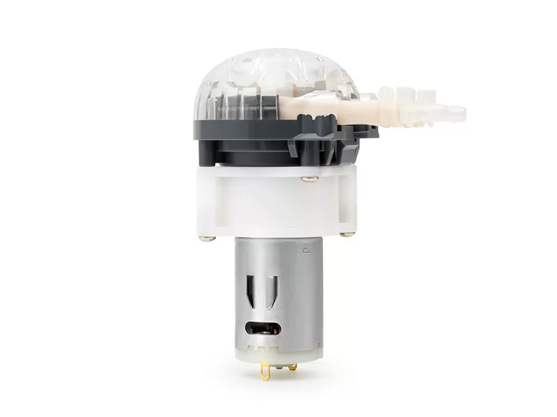 Lfp202db dc motor bomba peristáltica atacado fabricante