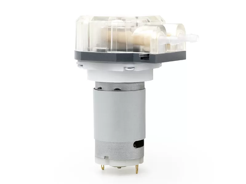 Lfp203db dc motor bomba peristáltica preço