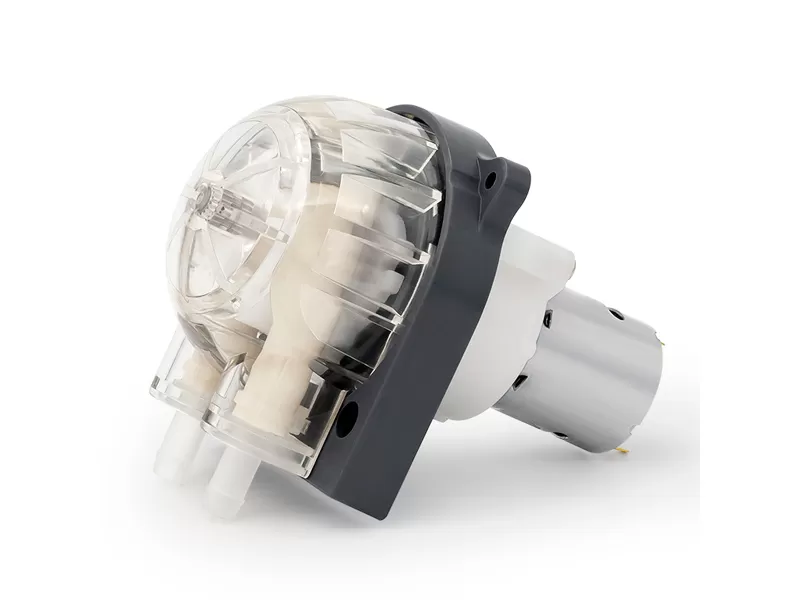 Lfp303db dc motor bomba peristáltica fornecedores